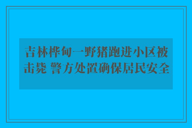 吉林桦甸一野猪跑进小区被击毙 警方处置确保居民安全